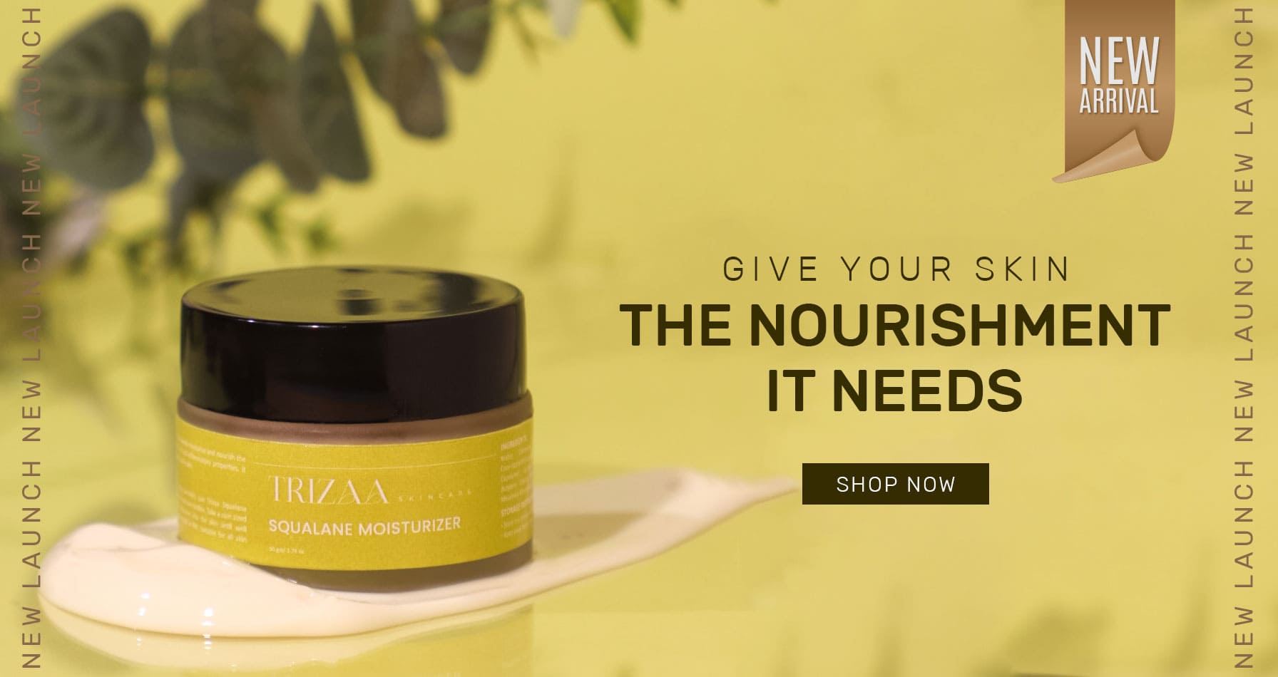 desktop Banner Image